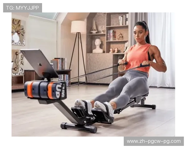 背靠式健身器材的功能与训练效果